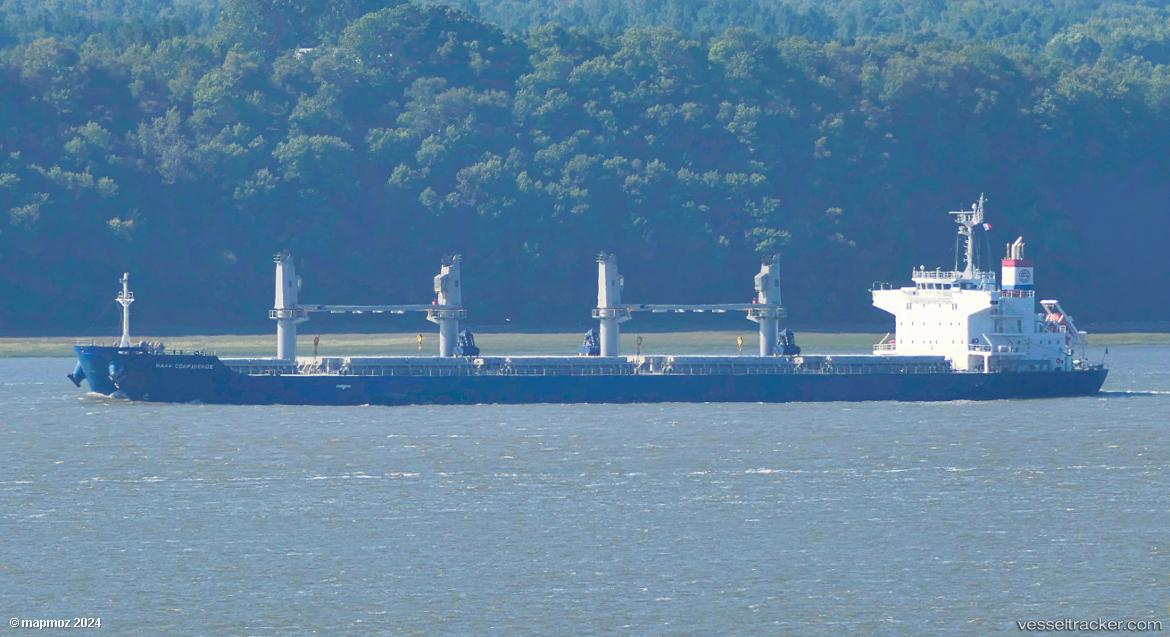 Maas-Confidence - Bulk Carrier vessel