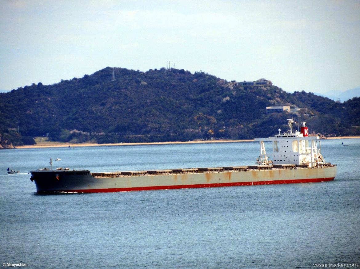 Cape-Harvest - Bulk Carrier vessel