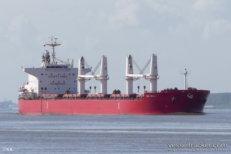 Yaya-Goose - Bulk Carrier vessel
