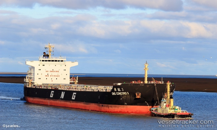 Gng-Concord3 - Bulk Carrier vessel