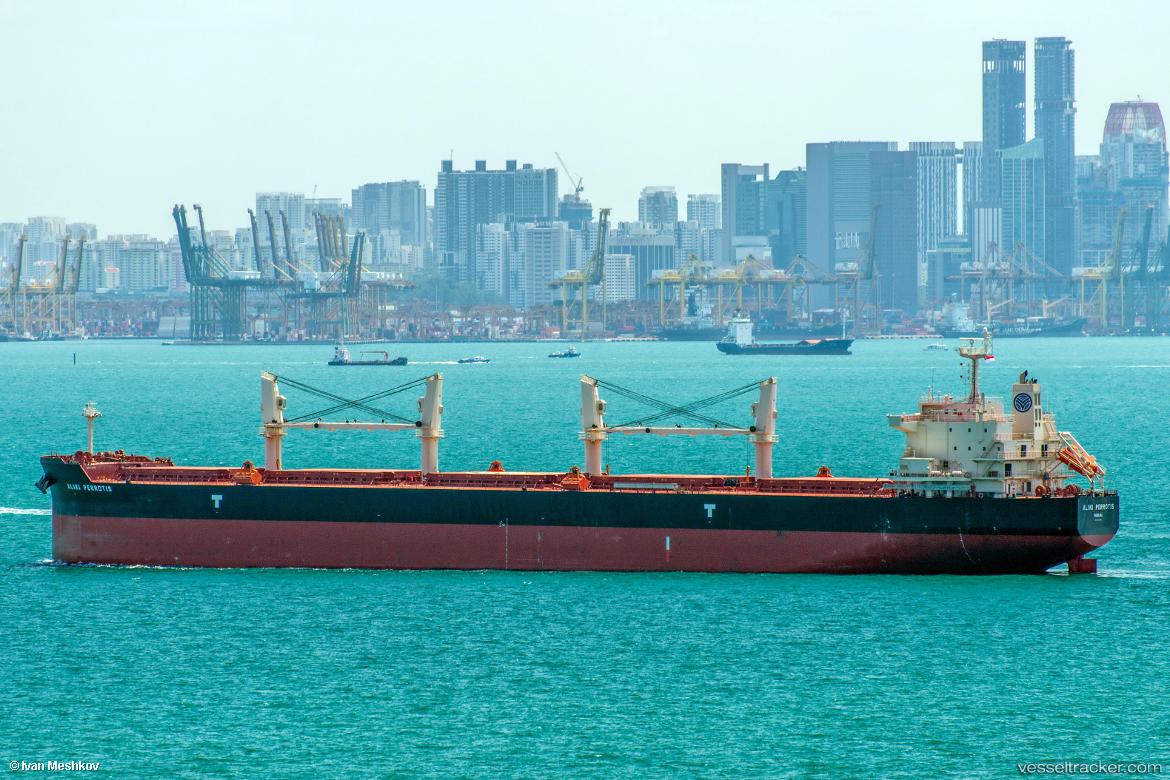 Aliki-Perrotis - Bulk Carrier vessel