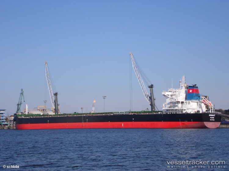 Argonaut - Bulk Carrier vessel
