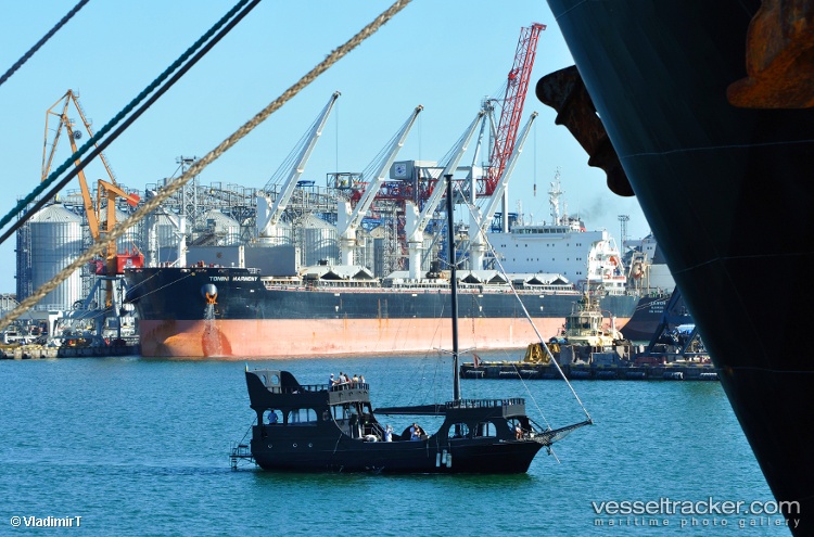 Tomini-Harmony - Bulk Carrier vessel