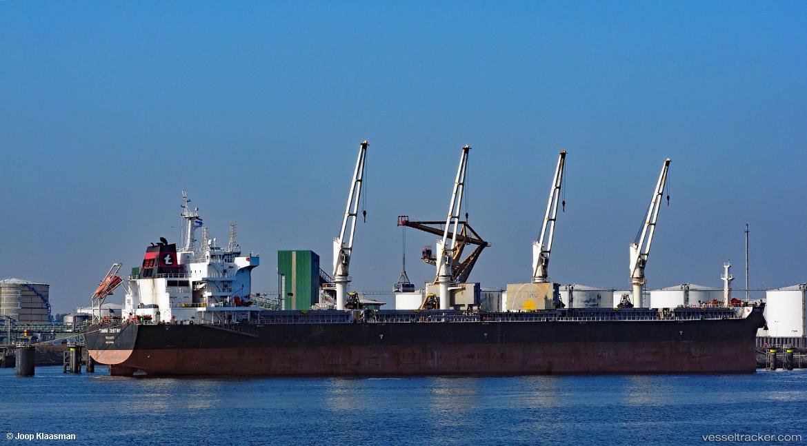 Tomini-Destiny - Bulk Carrier vessel