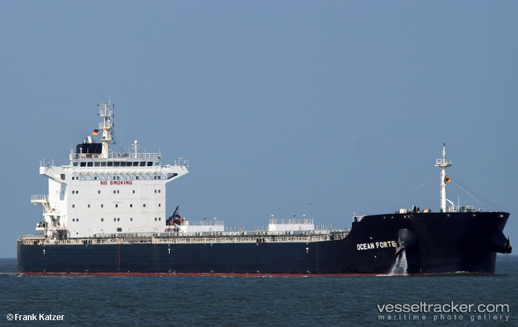 Arsinoe - Bulk Carrier vessel
