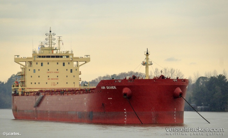 Ccs-Orchid - Bulk Carrier vessel