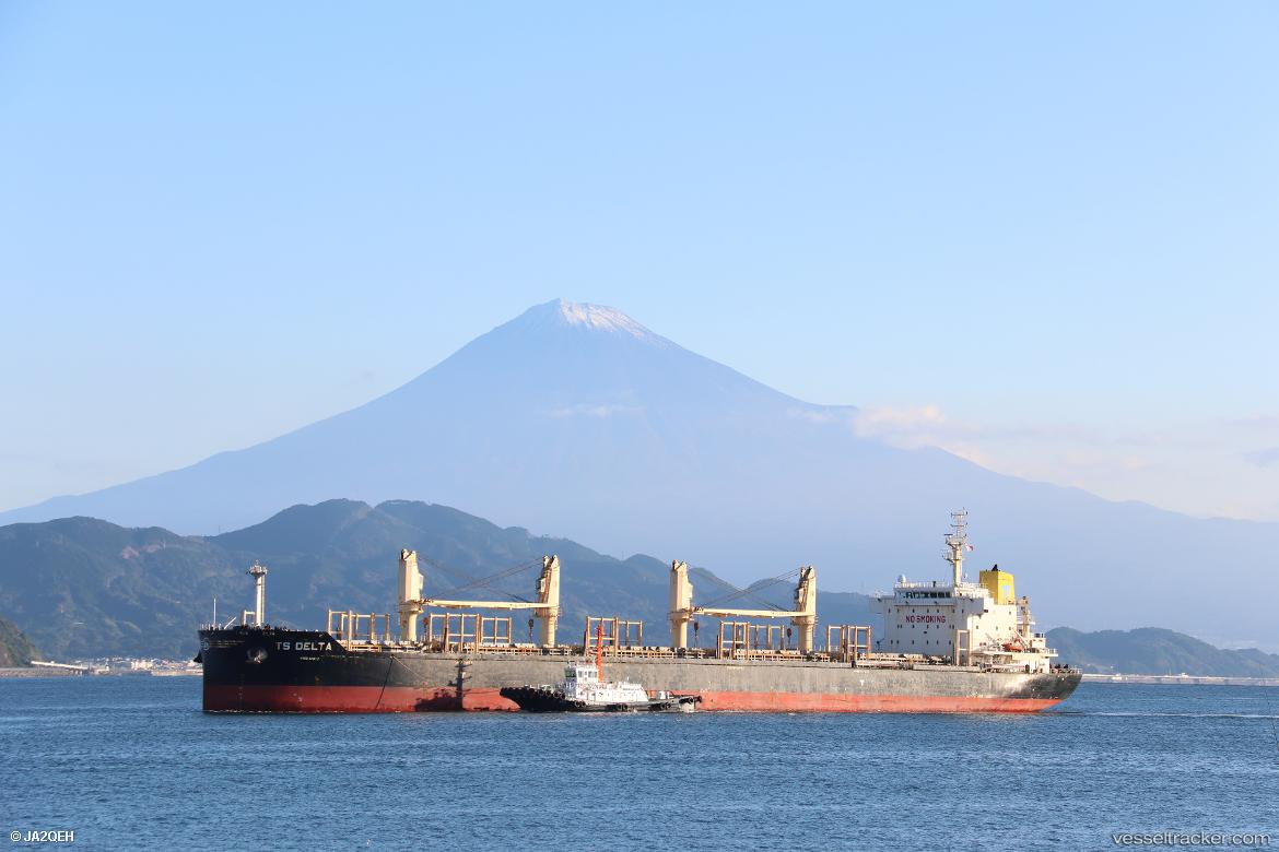 Ts-Delta - Bulk Carrier vessel