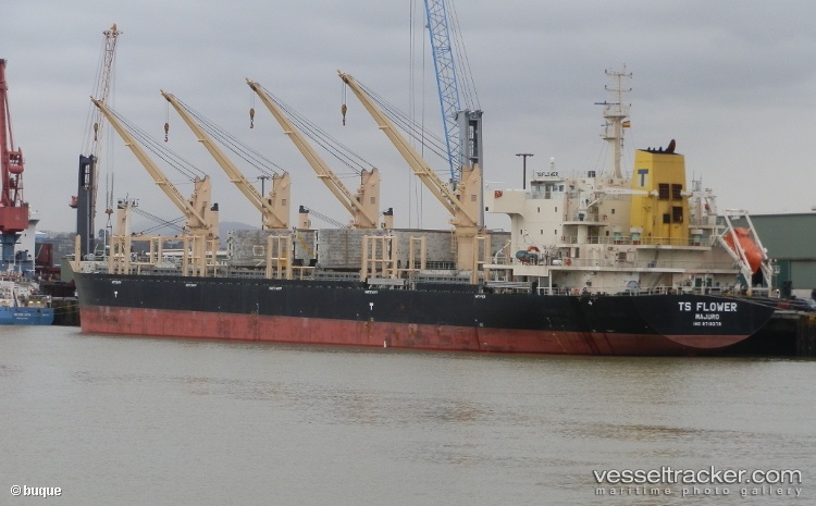 Ts-Flower - Bulk Carrier vessel