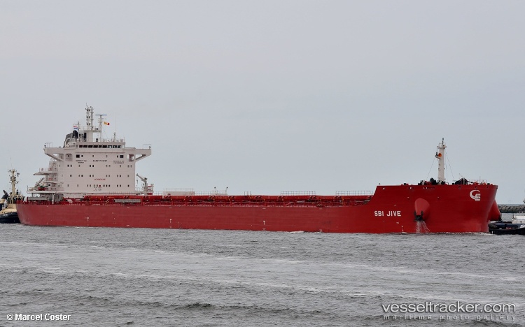 Danae - Bulk Carrier vessel