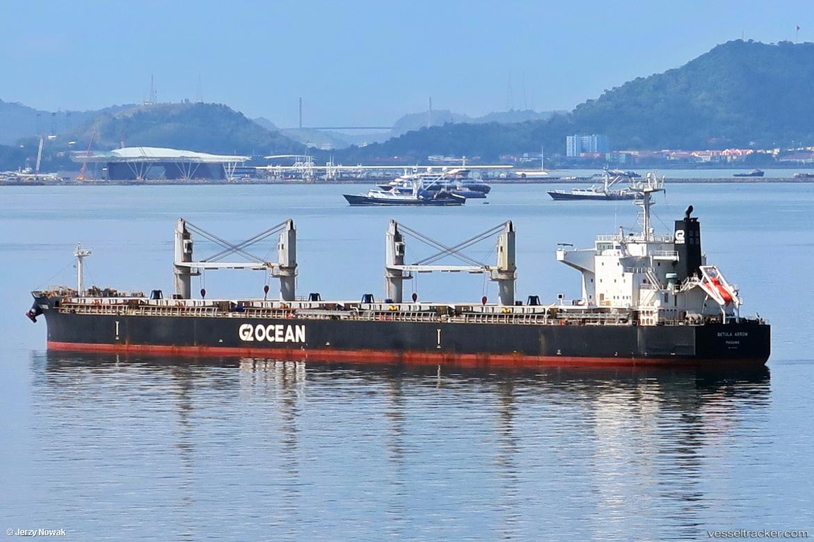 Betula-Arrow - General Cargo Ship vessel