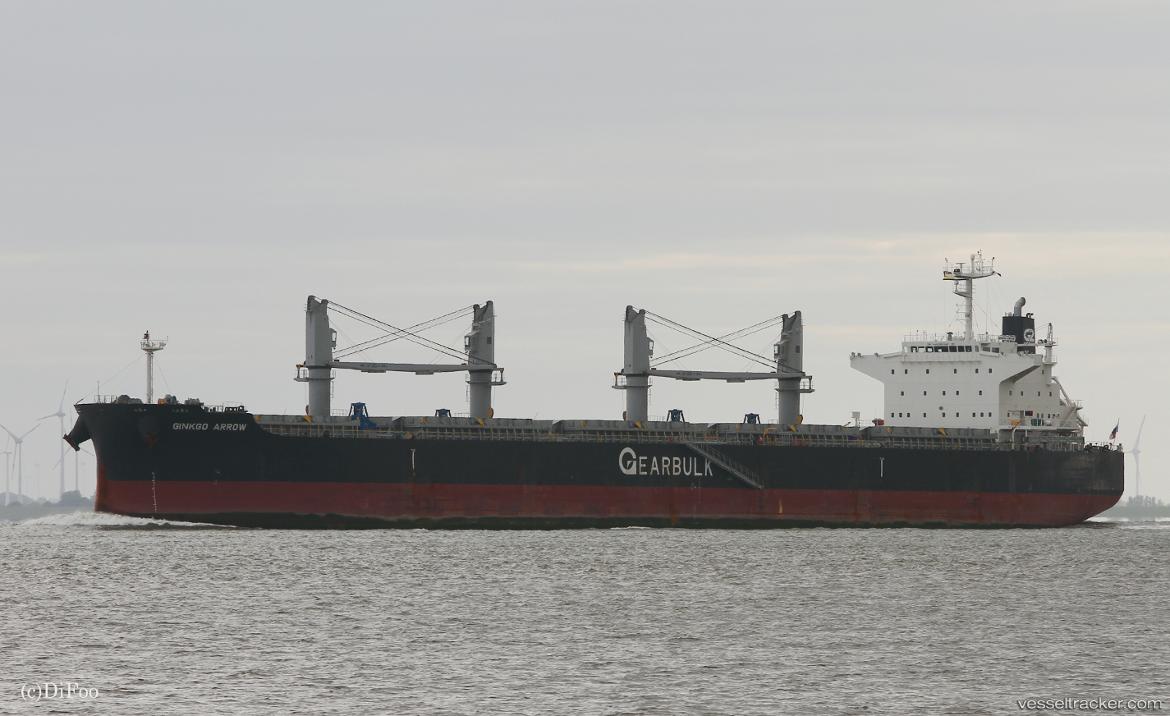 Ginkgo-Arrow - Bulk Carrier vessel