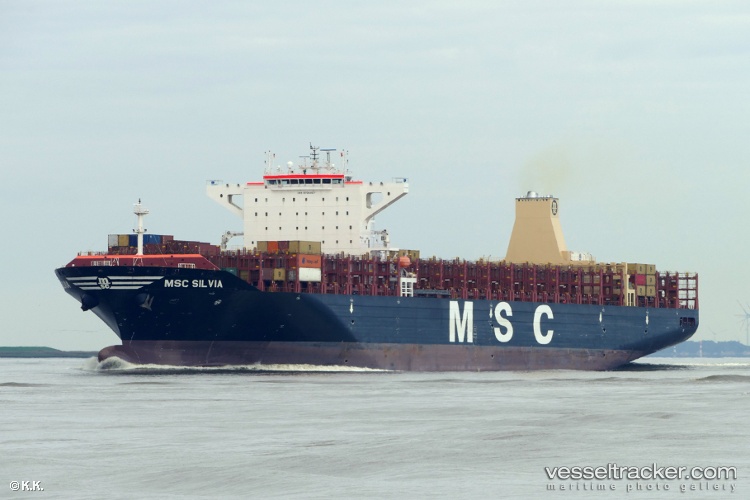 Msc-Silvia