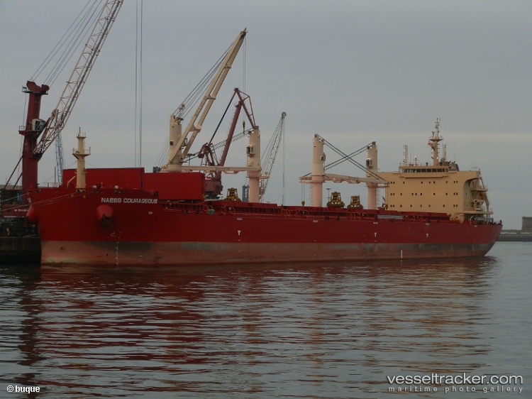 Beauty-Peony - Bulk Carrier vessel