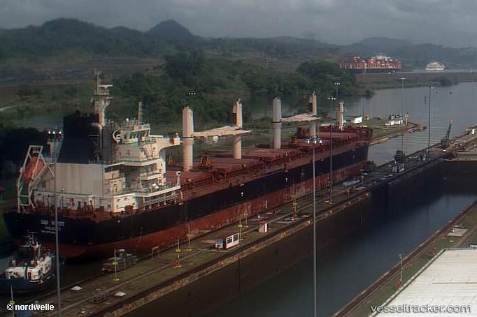 Star-Rotterdam - Bulk Carrier vessel