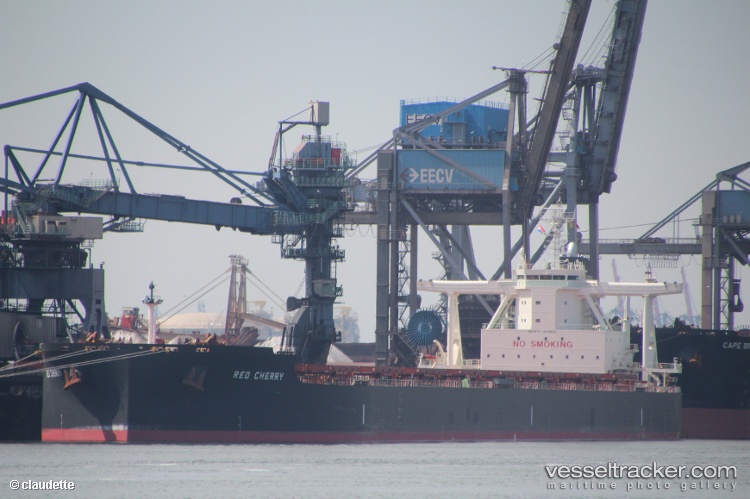 True-Compass - Bulk Carrier vessel