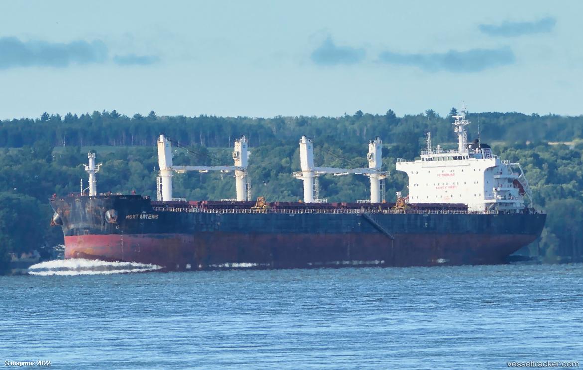 Msxt-Artemis - Bulk Carrier vessel