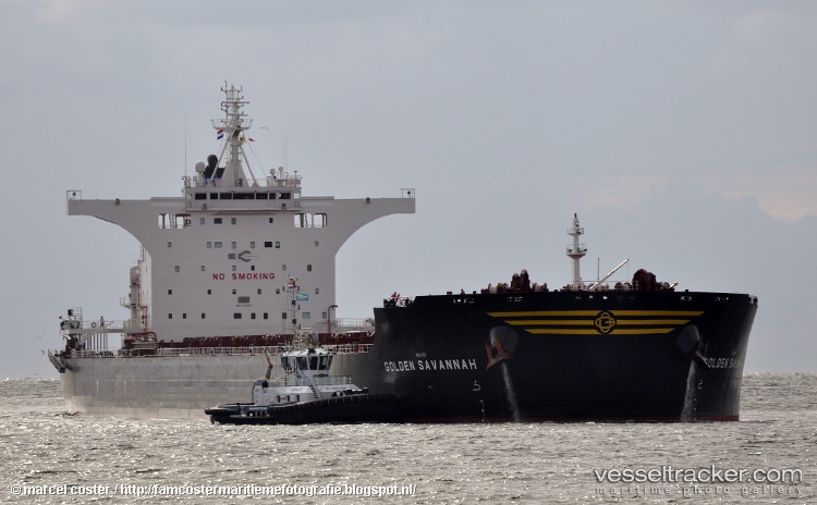 Golden-Savannah - Bulk Carrier vessel