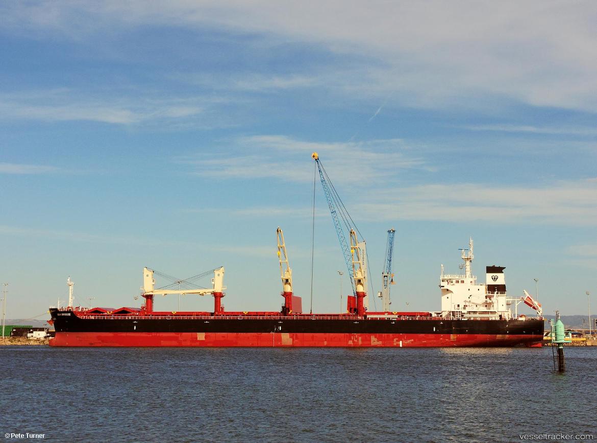 Gant-Yria - Bulk Carrier vessel