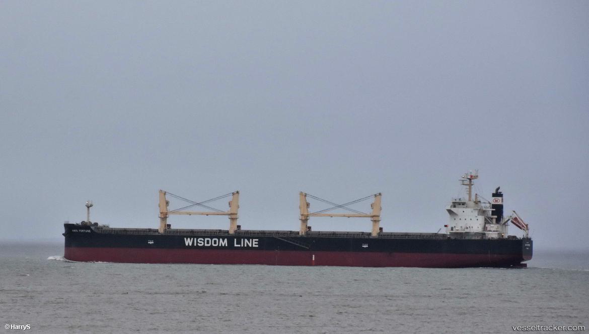 Amis-Fortune - Bulk Carrier vessel