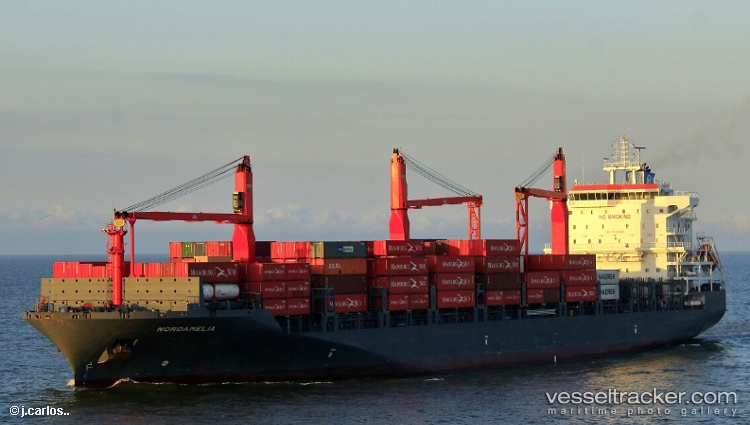 Nordamelia - Container Ship vessel