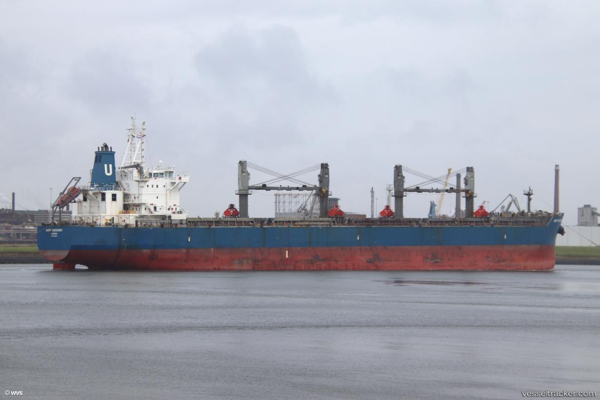 Unity-Discovery - Bulk Carrier vessel