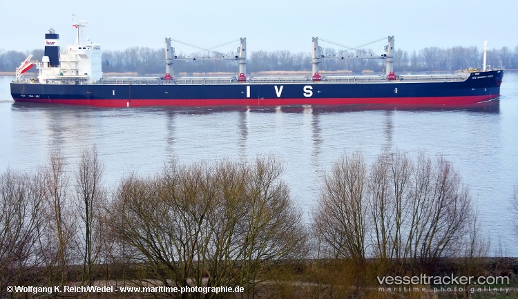 Birdie - Bulk Carrier vessel