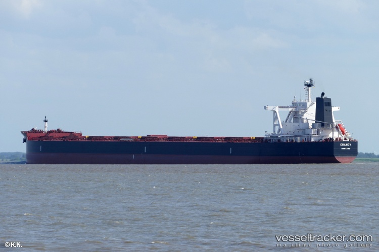 True-Chariot - Bulk Carrier vessel