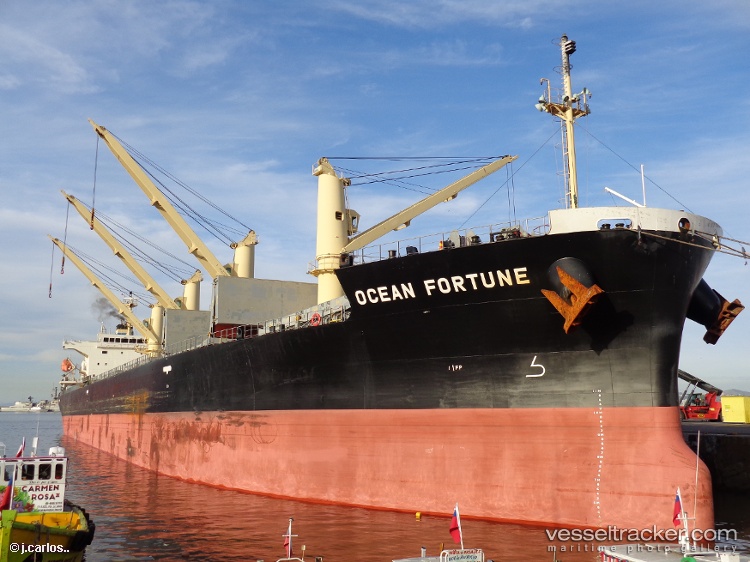Ocean-Fortune - Bulk Carrier
