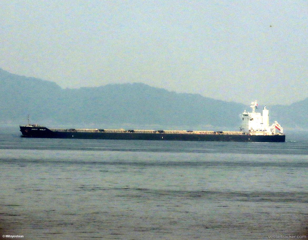 Paragon - Bulk Carrier vessel