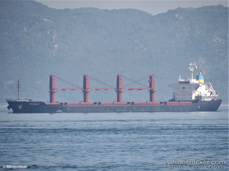 Atlantic-Tsubaki - Bulk Carrier vessel