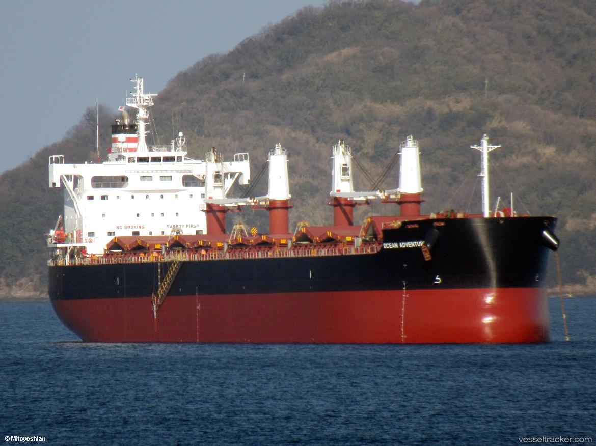 New-Face - Bulk Carrier vessel