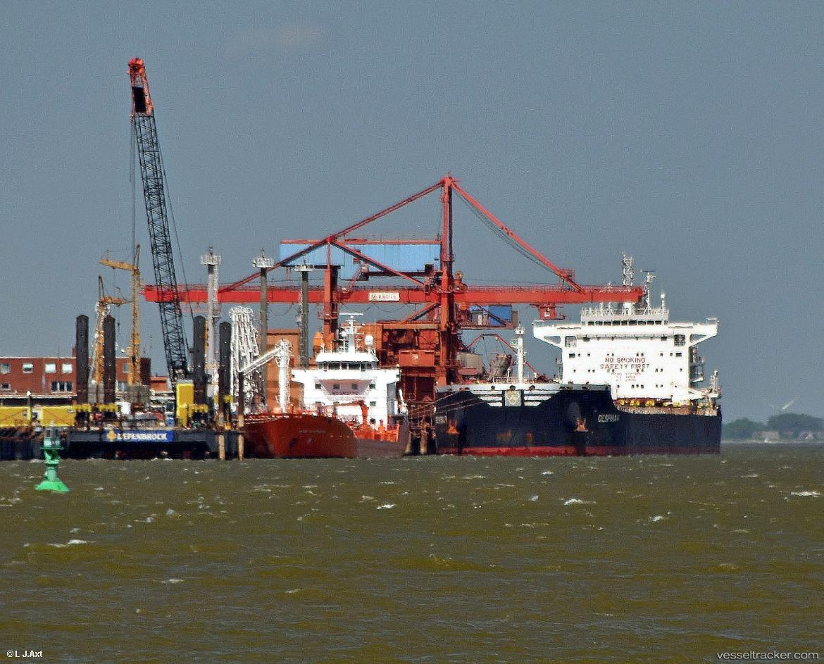 Despina-V - Bulk Carrier vessel
