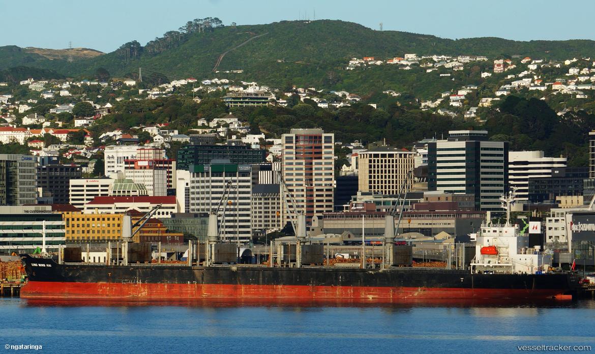 Xing-Ning-Hai - Bulk Carrier vessel