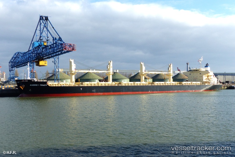 Darya-Krishna - Bulk Carrier vessel