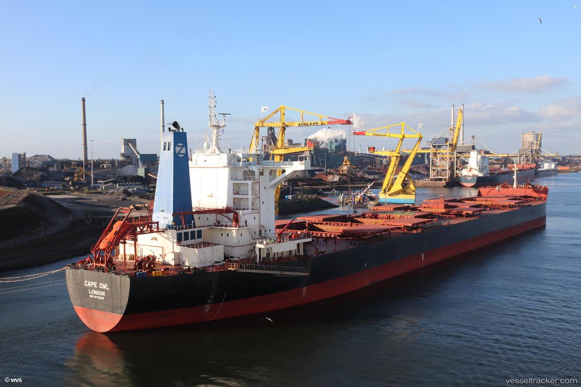 Cape-Owl - Bulk Carrier vessel