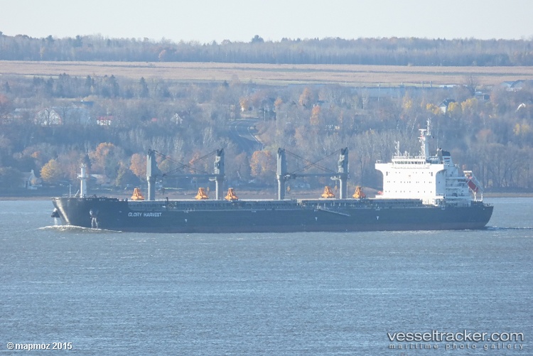 Glorious - Bulk Carrier vessel