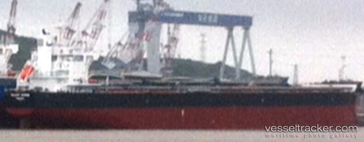 Vela - Bulk Carrier vessel