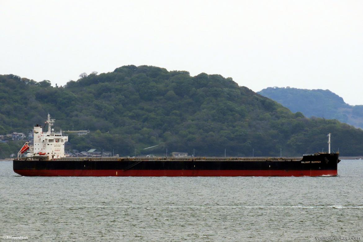 Beagle - Bulk Carrier vessel