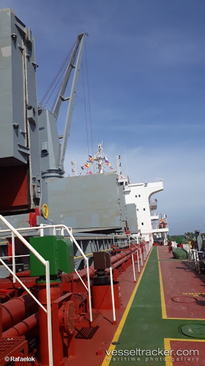 Pacific-Activity - Bulk Carrier vessel