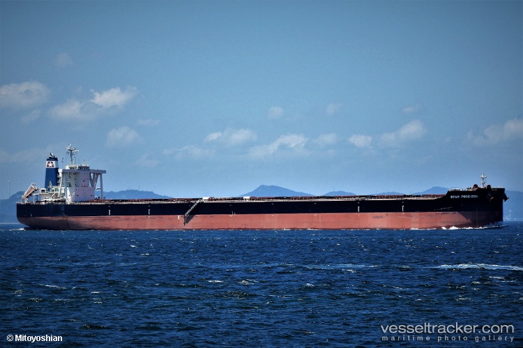 Star-Gina-2GR - Bulk Carrier vessel