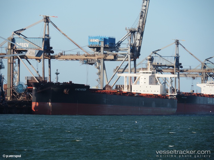 True-Condor - Bulk Carrier vessel