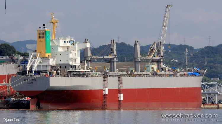 Ante-Topic - Bulk Carrier vessel