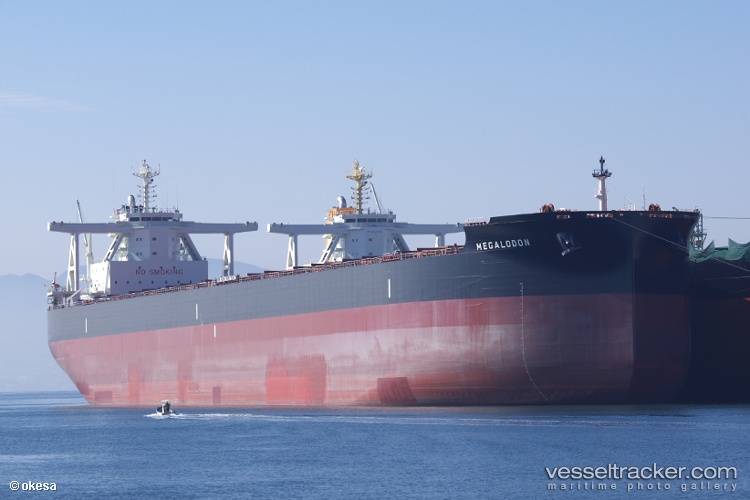 Mount-Hermon - Bulk Carrier vessel