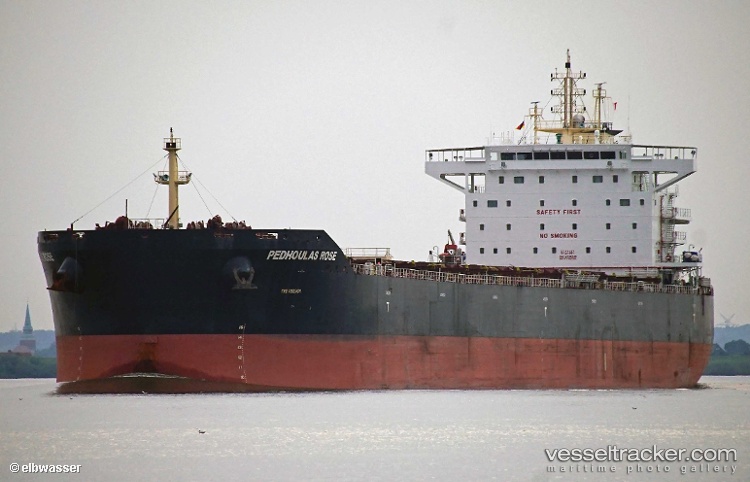 Pedhoulas-Rose - Bulk Carrier vessel