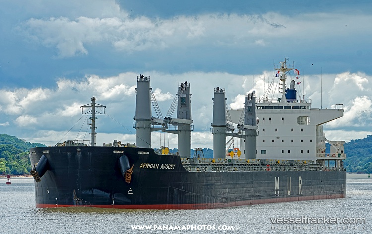 African-Avocet - Bulk Carrier vessel
