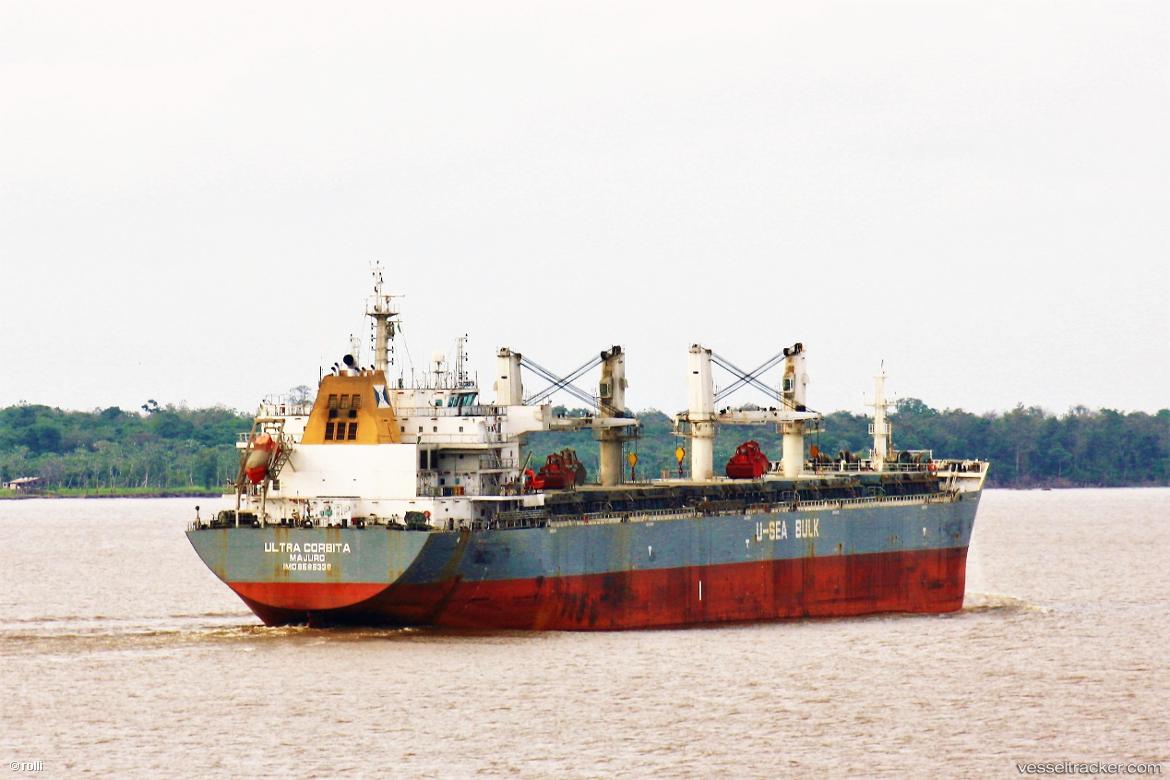 Xin-Hai-Tong-8 - Bulk Carrier vessel