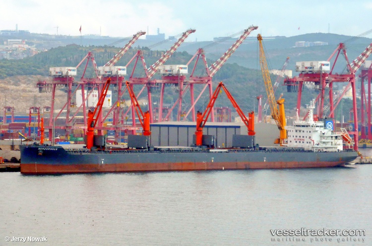 Nordorinoco - Bulk Carrier vessel