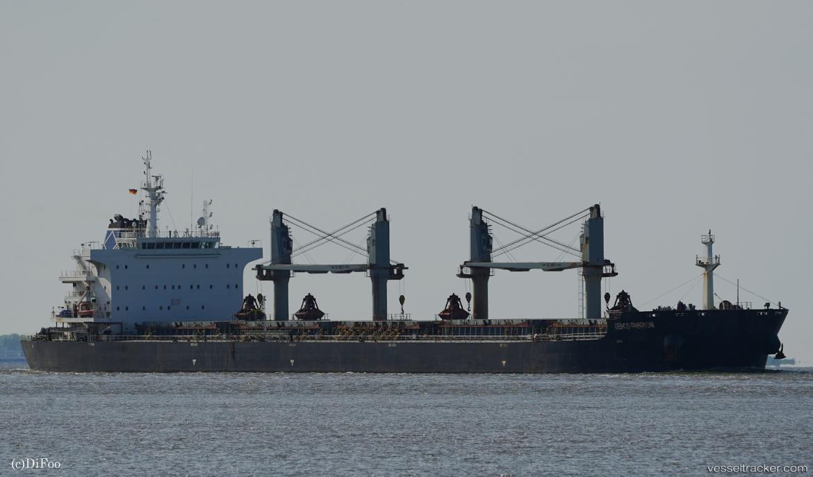 Genco-Freedom - Bulk Carrier vessel