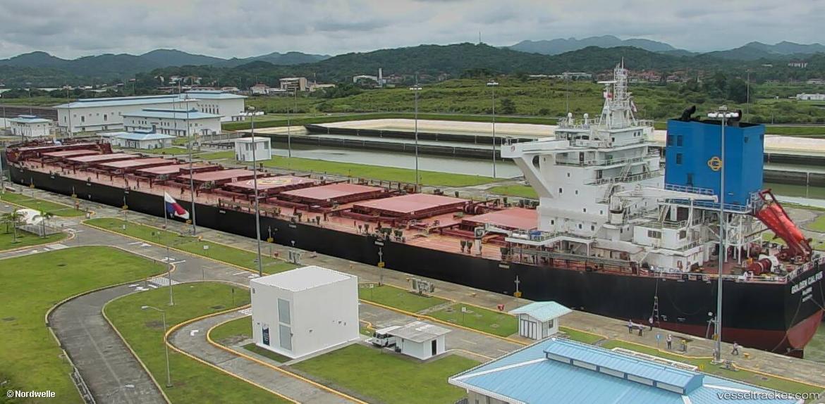 Golden-Calvus - Bulk Carrier vessel