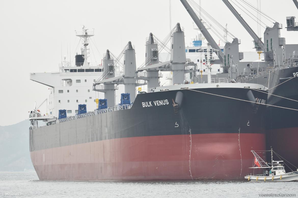 Bulk-Venus - Bulk Carrier vessel